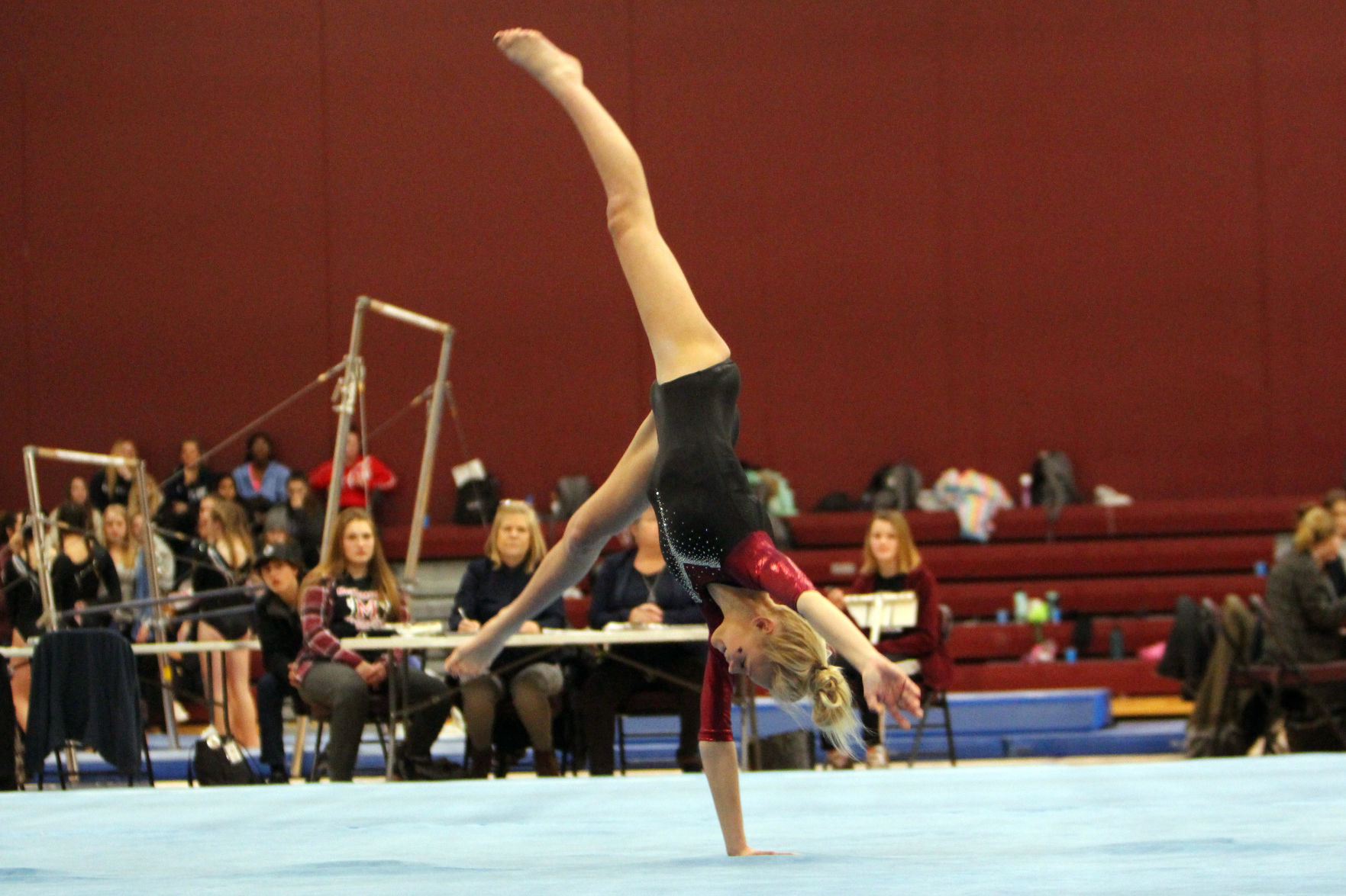 Big Rivers Conference Gymnastics Triangular at Menomonie 1-23-20